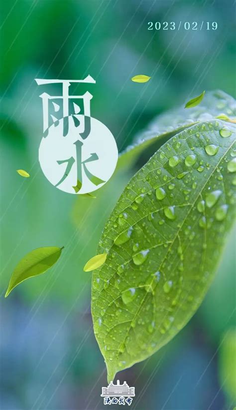 微纪录片：雨水·好雨知时节丨行律千年_凤凰网视频_凤凰网