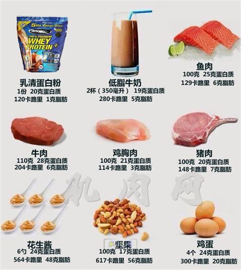 十佳优质蛋白质食物排行榜