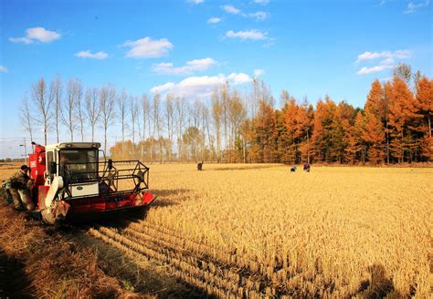 2021年农产品发展的八大趋势！ - 中国福州现代农业与乡村振兴博览会