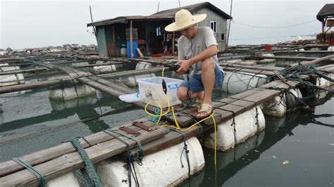 鱼类养殖智能管理解决方案