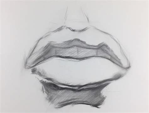 素描嘴唇的画法步骤图-露西学画画