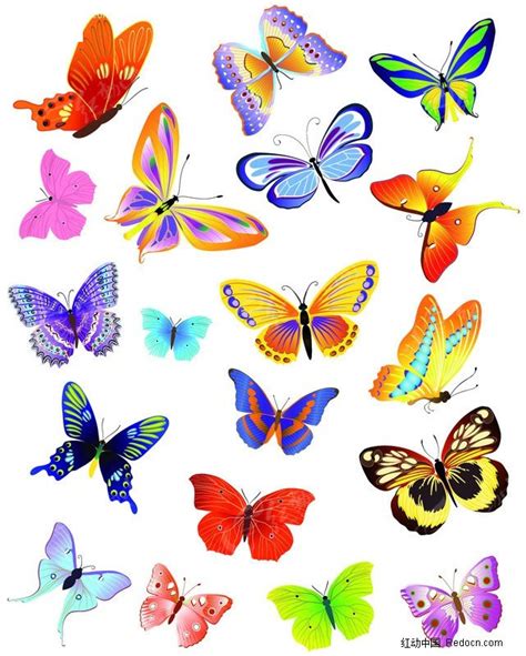 多款彩色蝴蝶矢量图EPS素材免费下载_红动中国