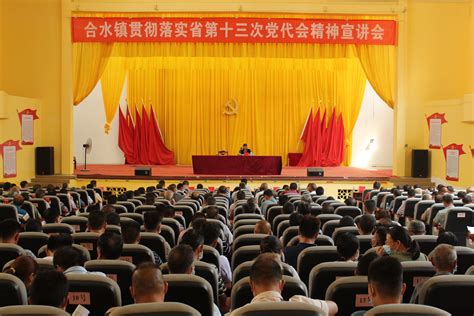 晓天镇召开第十二届党代表培训会议_舒城县人民政府