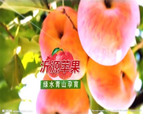 红色烟台苹果秋季水果促销海报海报模板下载-千库网
