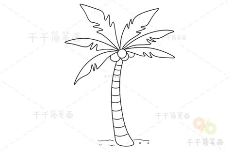 画一棵椰子树的简笔画,椰子树怎么画最简单,简笔画图片大全_大山谷图库