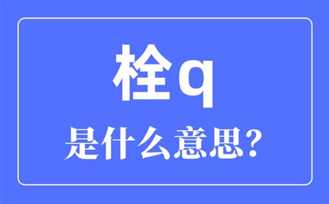 png是什么意思 png的中文翻译_趣百科