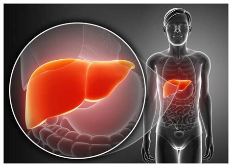 养肝护肝的9大食物，经常吃，你的肝脏会感谢你__财经头条