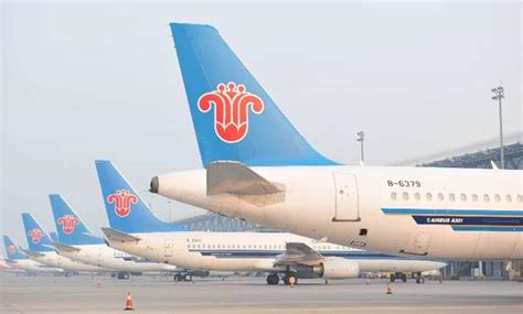 今日登机“无纸风行” 南方航空在郑举办“无纸化”出行体验日活动-大河新闻