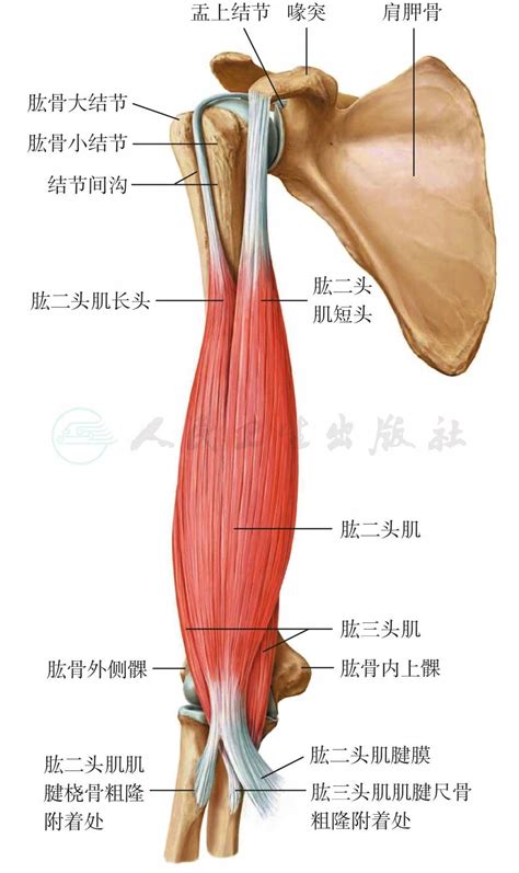 TROTT 的图像结果