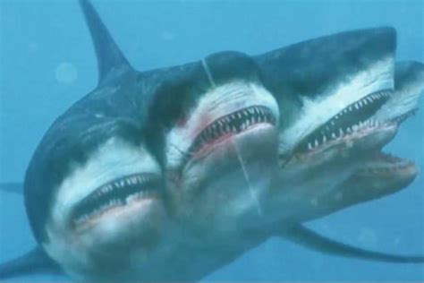 4分钟看完惊悚片《夺命五头鲨》头部长在尾巴上的鲨鱼你见过吗？_凤凰网视频_凤凰网