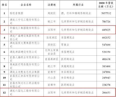 宜昌新增一家上市公司_手机新浪网