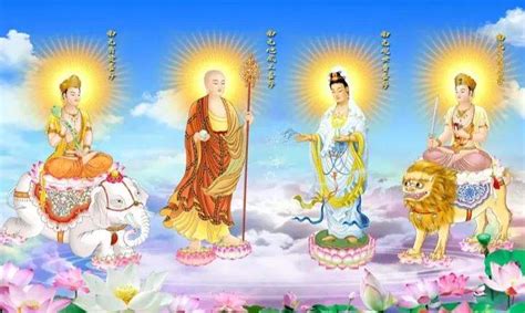 佛教体系中的佛菩萨的等级 | 潇湘读书社