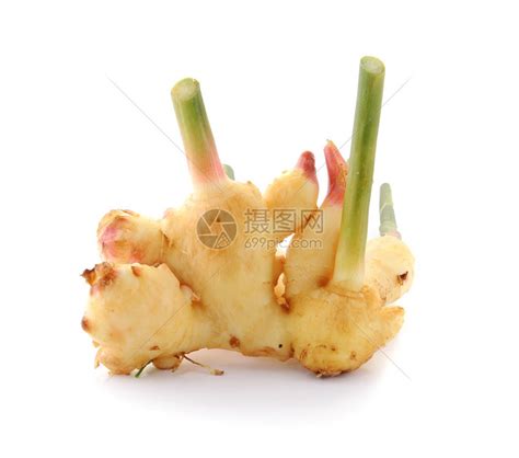 姜国芳 的图像结果