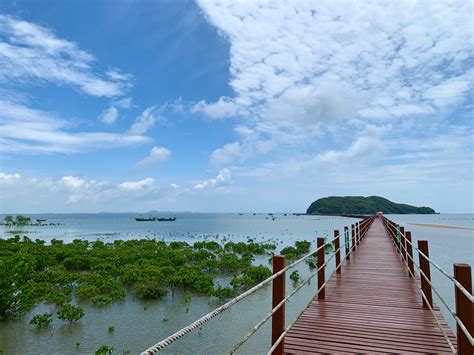 阳江旅游景点推荐-2021阳江旅游必去景点-排名，网红，好玩-去哪儿攻略