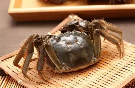 螃蟹冷冻多久就不能吃了-螃蟹冷冻保存最久多长时间-趣丁网