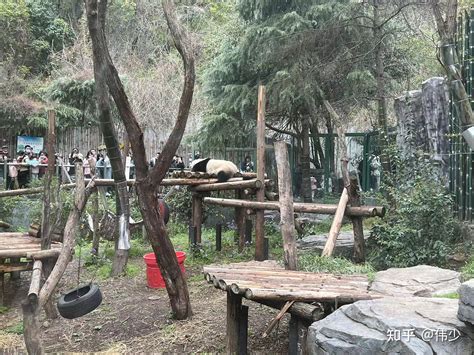 2021南京红山动物园免费开放日门票领取攻略（图解）- 南京本地宝