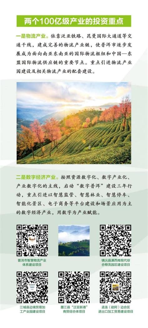 普洱林产业“双百”项目 --云南投资促进网