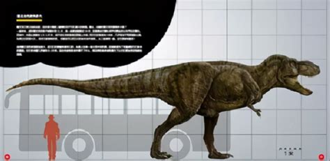 侏罗纪肉食恐龙大小排行榜