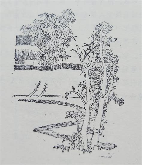 范成大这首诗写出了农家人的自然淳朴，语句清新自然妙趣横生