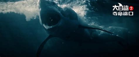 大白鲨之夺命鲨口 - 电影资料库 - 看点网