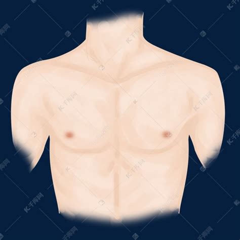 人体器官胸部素材图片免费下载-千库网