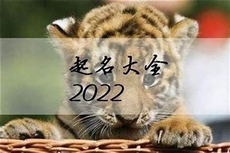 2022年出生虎宝宝新款名字 虎年孩子最热门名字大全-周易起名-国学梦