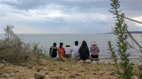 山看海,看海,看海头像(第5页)_大山谷图库