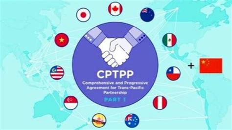 中方正式提出申请加入CPTPP|中央新闻|新闻|湖南人在上海