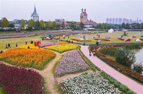 武汉花博汇除了26万平的四季花海和浪漫的樱花村供赏花拍照外