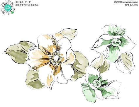 花素描图片