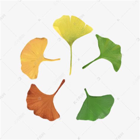 秋季树叶叶子变化素材图片免费下载-千库网