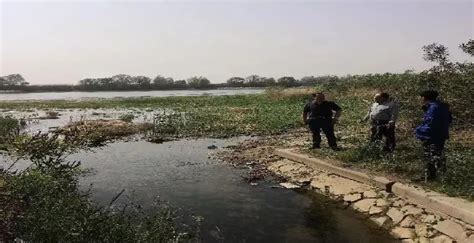 宁夏青铜峡市：有序生态补水优化全域水环境_宁夏水利厅