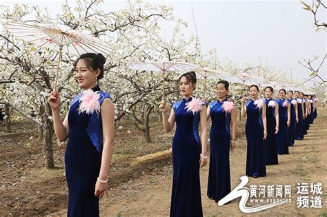 中国农业大学“头雁”导师团队在临猗县开展指导帮扶-新华网