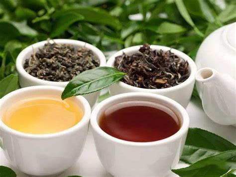 红茶和绿茶的区别在哪里？红茶和绿茶哪个好__凤凰网