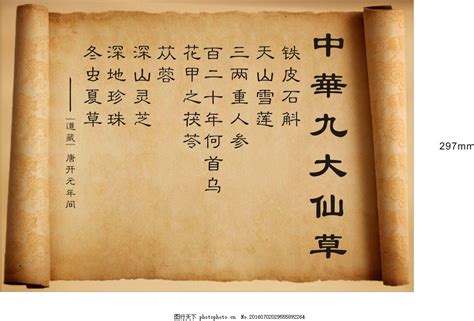 仙草图片