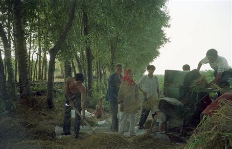 一组90年代的河南农村写真胶片|摄影|胶片|sky - 原创作品 - 站酷 (ZCOOL)