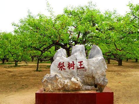 芒砀山出土汉代玉器的历史价值|汉墓|玉璧|西汉_新浪新闻