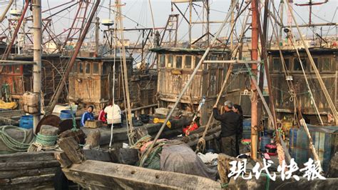 青岛渔民码头直播带货，4个小时竟卖掉4000多斤海鲜，太厉害了！