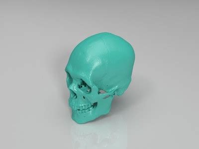 头骨3D打印模型_头骨3D打印模型stl下载_生物医学3D打印模型-Enjoying3D打印模型网