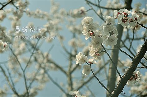 春暖花又开|摄影|风光摄影|小易术家 - 原创作品 - 站酷 (ZCOOL)