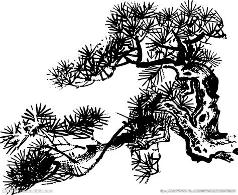 国画松树的画法：松柏松树水墨画图片大全之设色篇58