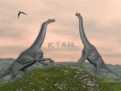 恐龙动画系列：巨型棘龙vs华阳龙vs肯特龙，恐龙战斗_高清1080P在线观看平台_腾讯视频