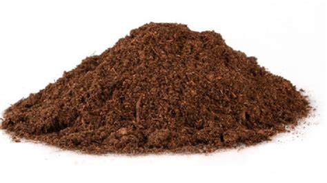 草炭土和泥炭土区别 ——多肉植物用土？ | 说明书网
