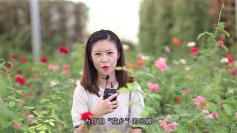 枣阳市旅游宣传片_腾讯视频