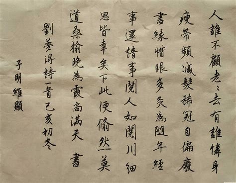 刘禹锡和白居易 : 那些年一起写过的诗