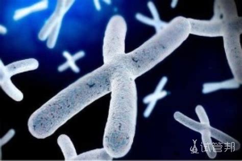 【染色体是什么】【图】染色体是什么构成的 染色体变异产生的危害详解(2)_伊秀健康|yxlady.com