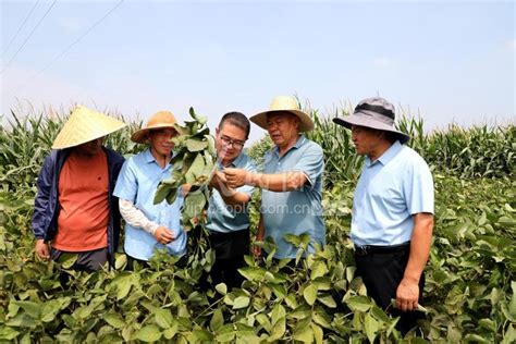 安徽濉溪：检修农机备战麦收-人民图片网