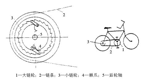自行车轮子转，齿轮不转，但齿轮转轮子一定会转。它的结构是怎样设计的？ - 知乎