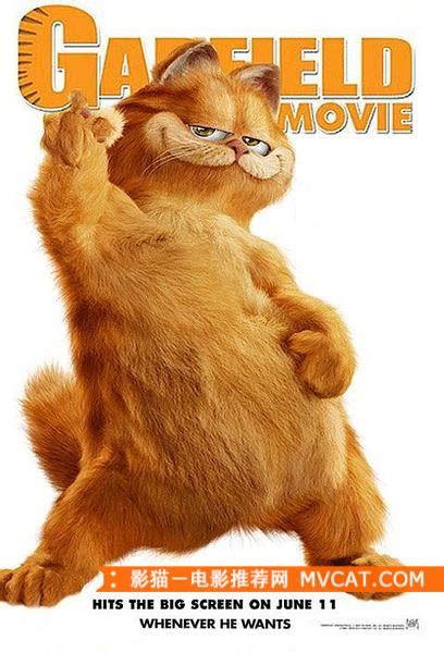 猫咪物语2-电影-腾讯视频