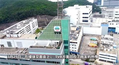 TVB直播首秀，便创下2350万元佳绩……|佳绩|围观|马国明_新浪新闻